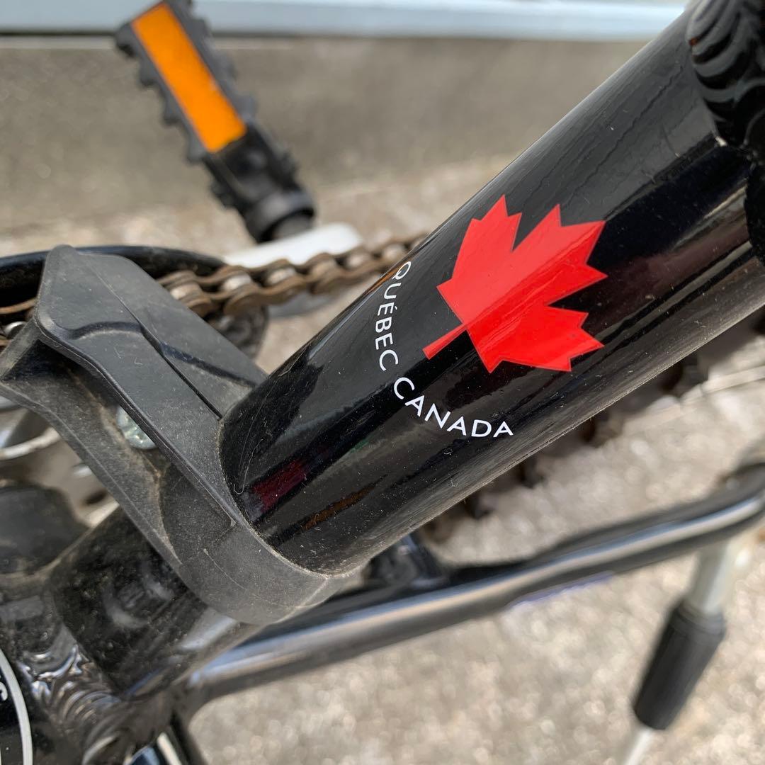 専用引取限定 LOUIS GARNEAU ジュニア20インチ マウンテンバイク