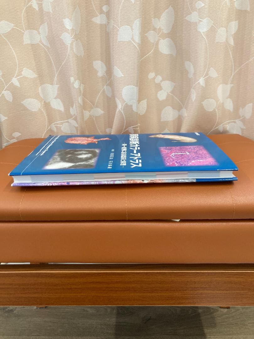 豚病診断カラ―アトラス　同一症例に迫る臨床と病理（美品）