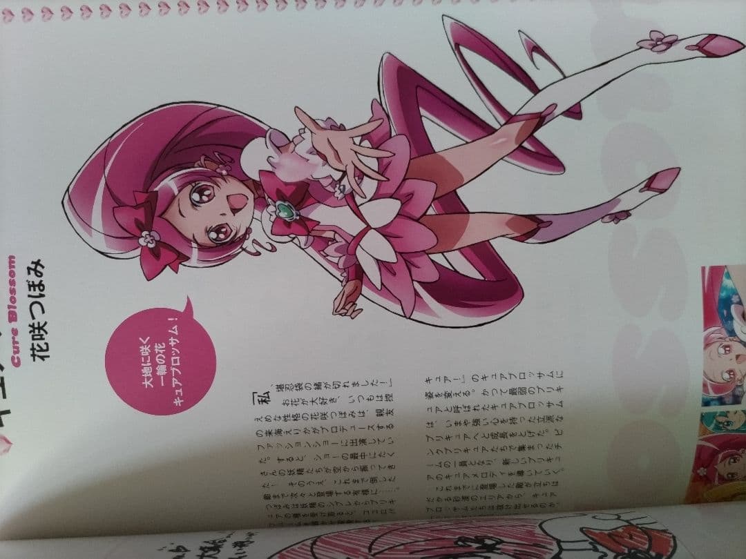 ぴあMOOK プリキュアぴあ