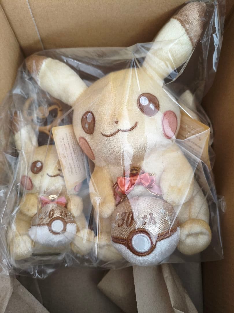 ピカピカ！ピカチュウ 30周年記念 ぬいぐるみ＆マスコット