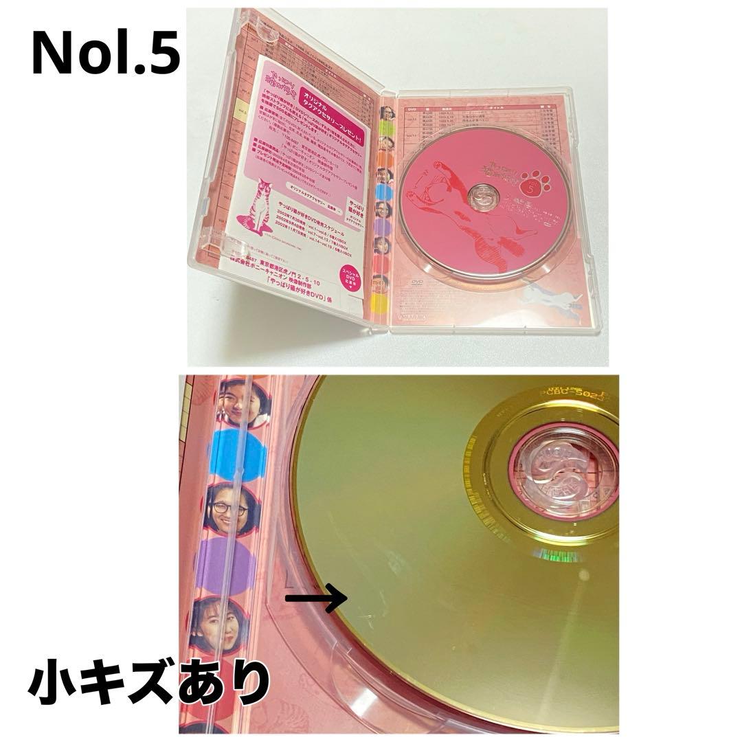 ❤️動作確認済み❤️超希少　TVドラマ　やっぱり猫が好き　DVD BOX 全巻セット