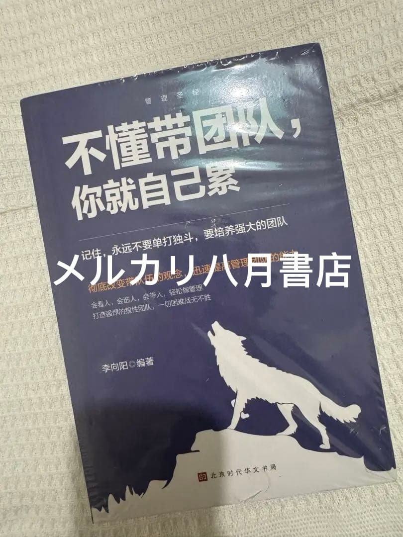 B不懂带团队自己就累 5册合集