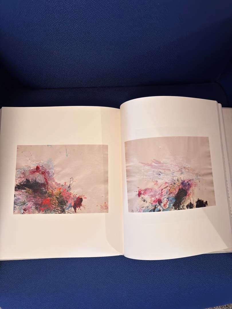 アート・デザイン・音楽 Cy Twombly Photographs: