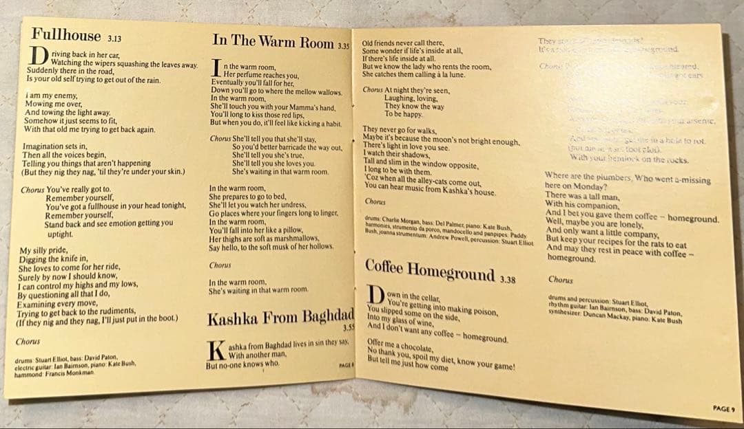 UK盤！KATE BUSH / ケイト・ブッシュ / LIONHEART