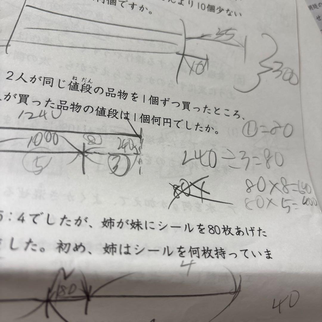 日能研　5年　2024年　育成テスト　前期　後期春期、夏期、冬期テスト　一年分