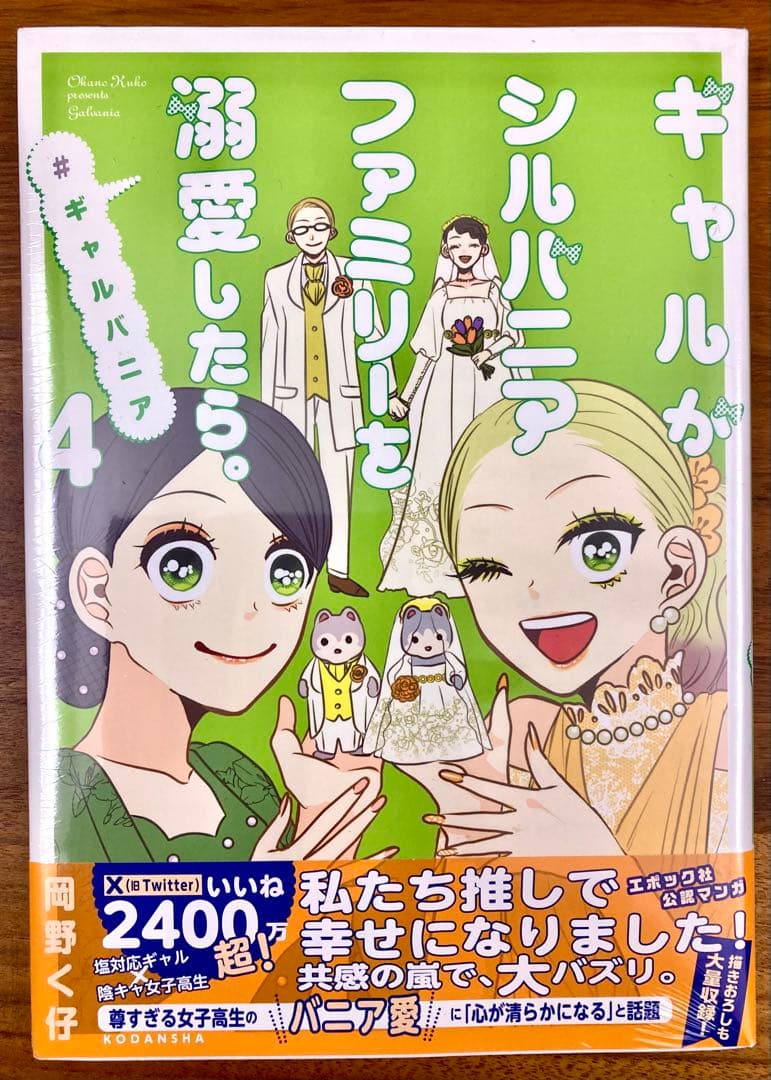 ギャルがシルバニアファミリーを溺愛したら　全巻セット