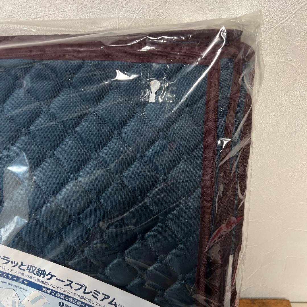 TEIJIN カラッと収納ケースプレミアム　テイジン