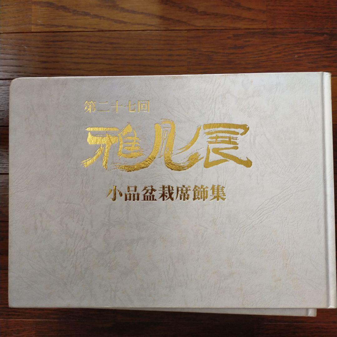 雅風展