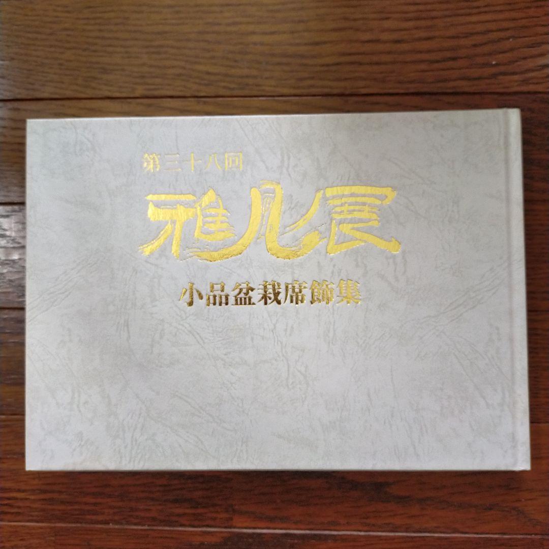 雅風展