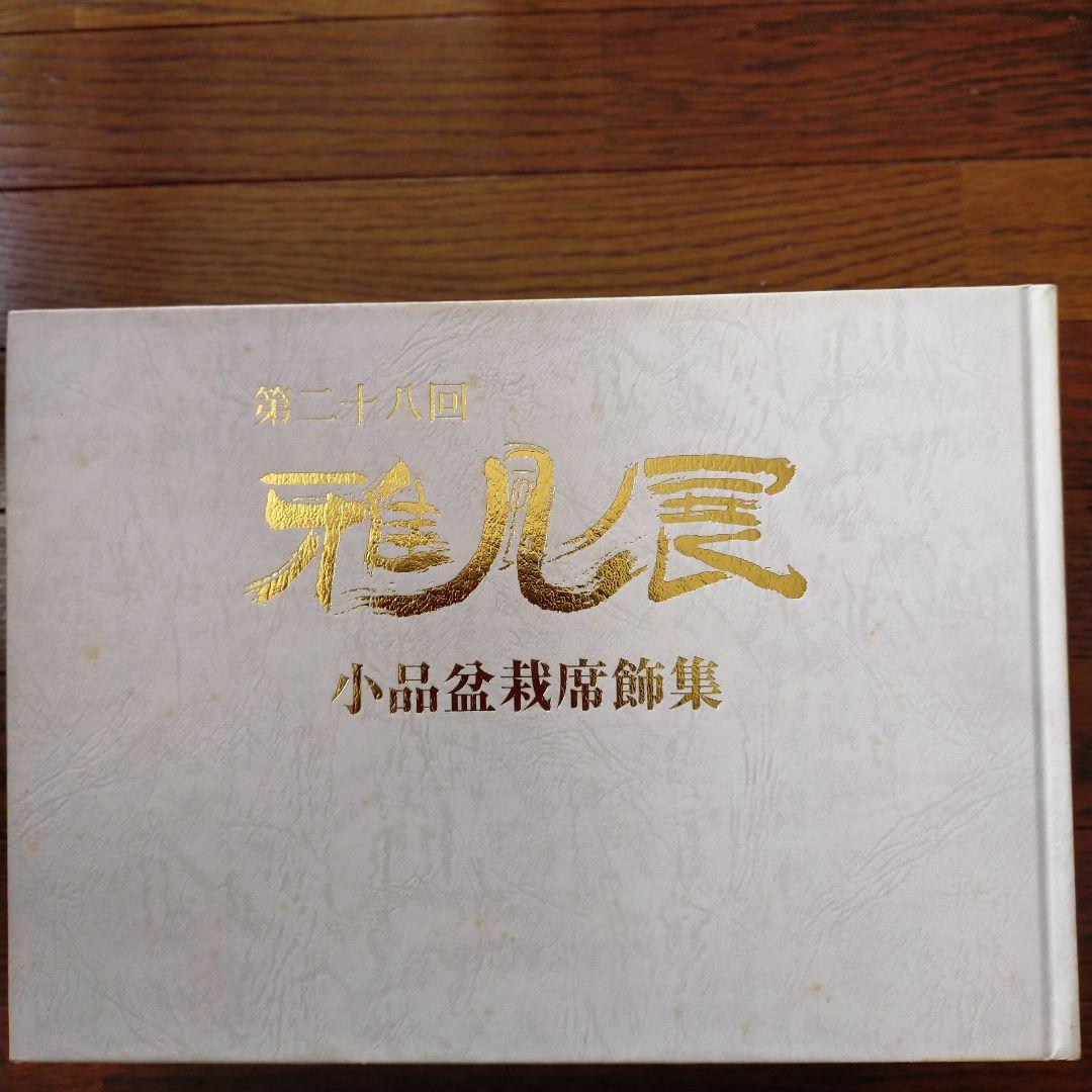 雅風展