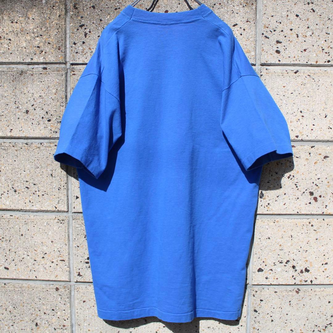 USA製 90's フルーツ オブ ザ ルーム シングルステッチ 古着 Tシャツ