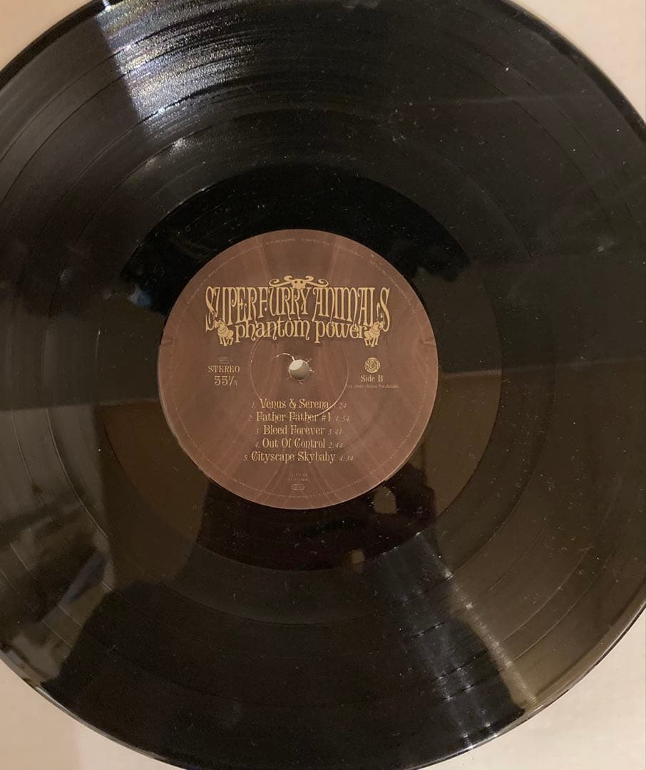 Super Furry Animals /Phantom Powerエッチング盤