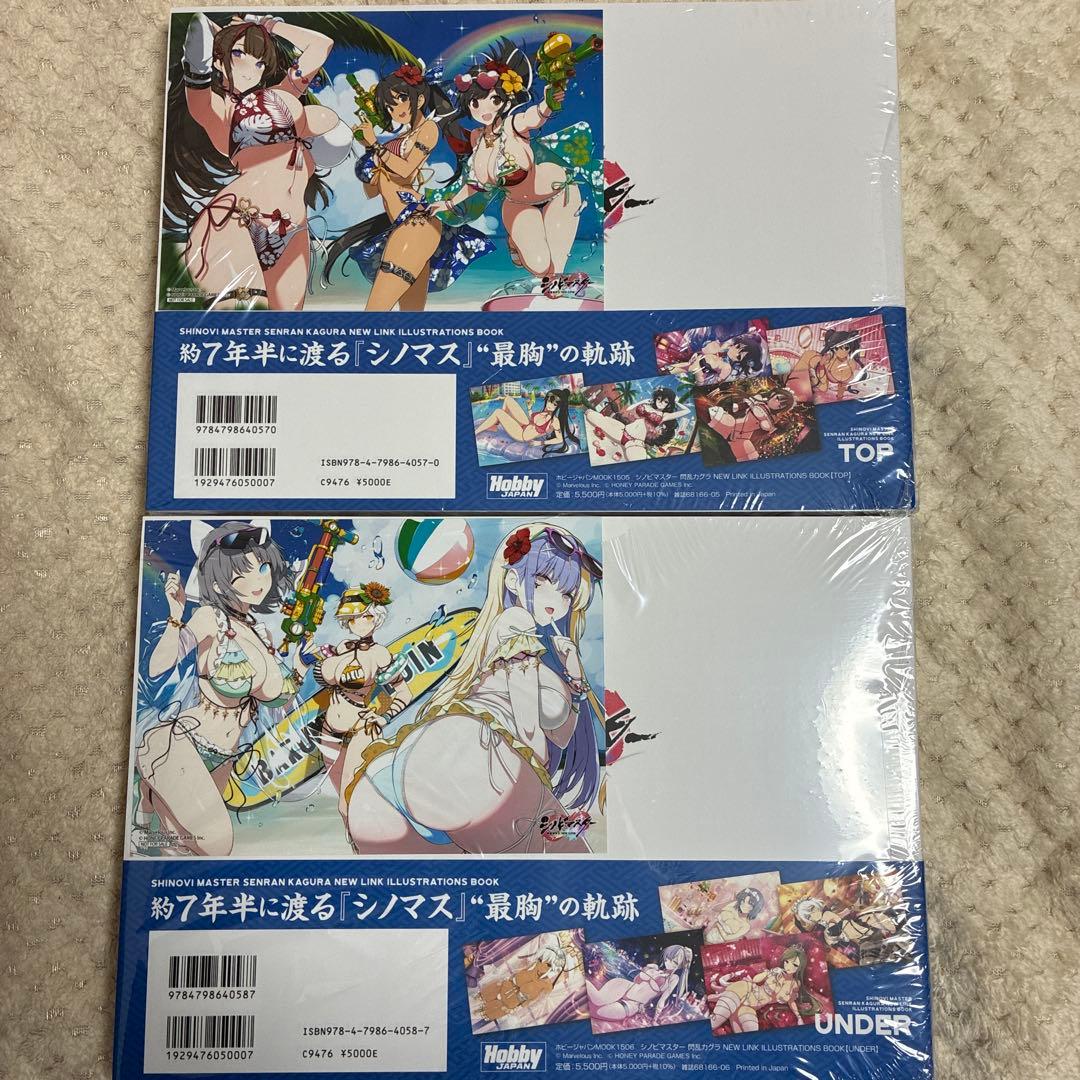 閃乱カグラ シノマス illustrations book TOP UNDER