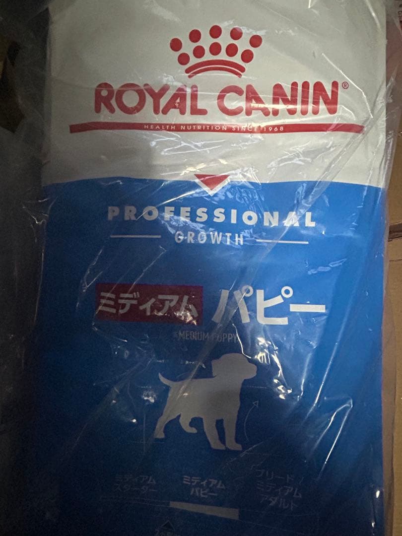 ぶぶ