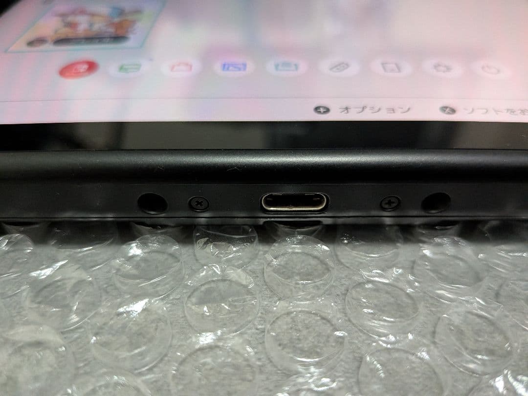 switch あつまれどうぶつの森