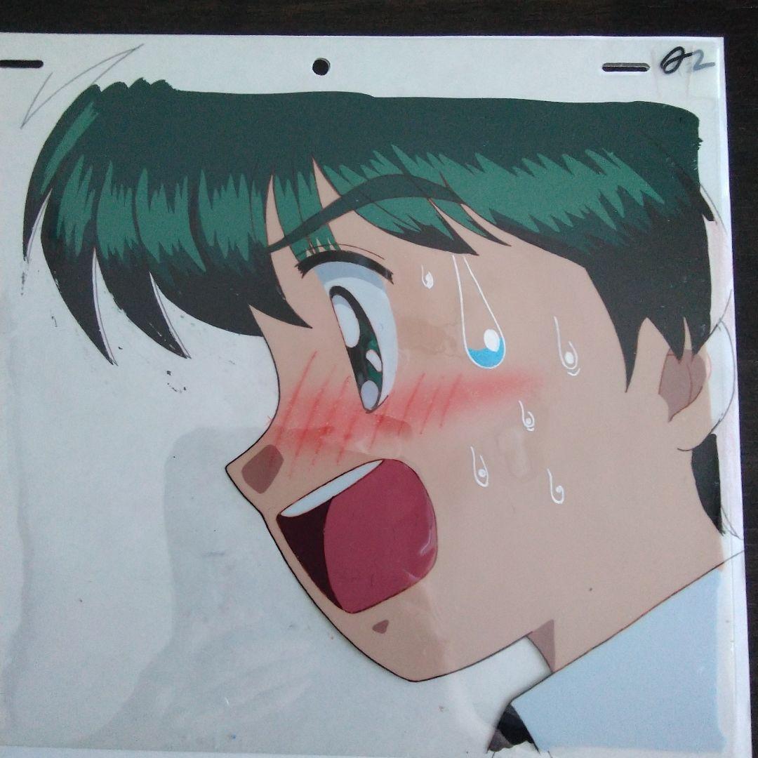 アニメのテールセル画&イラスト画　怪盗セイントテール「アスカJr.」A 2(2)