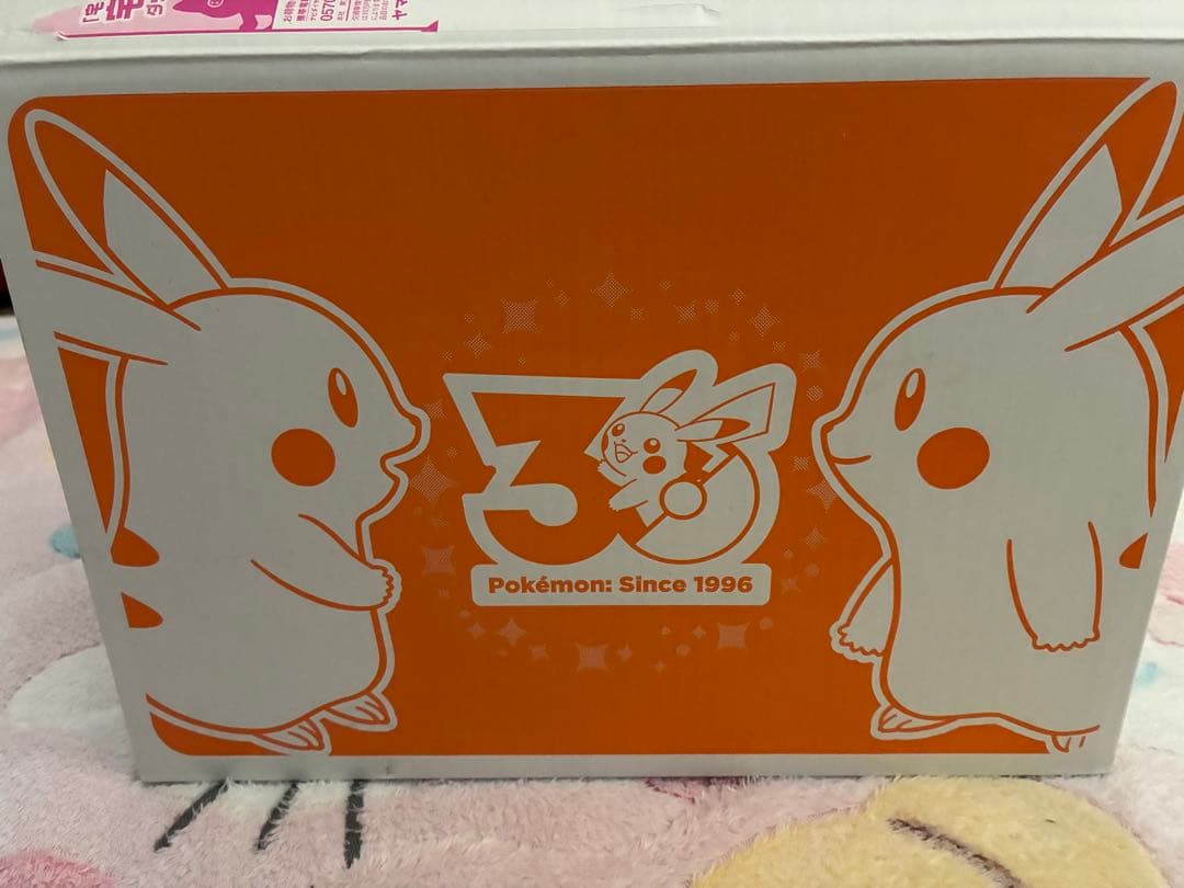 ポケモンセンター　はじまりのピカチュウ　ぬいぐるみ