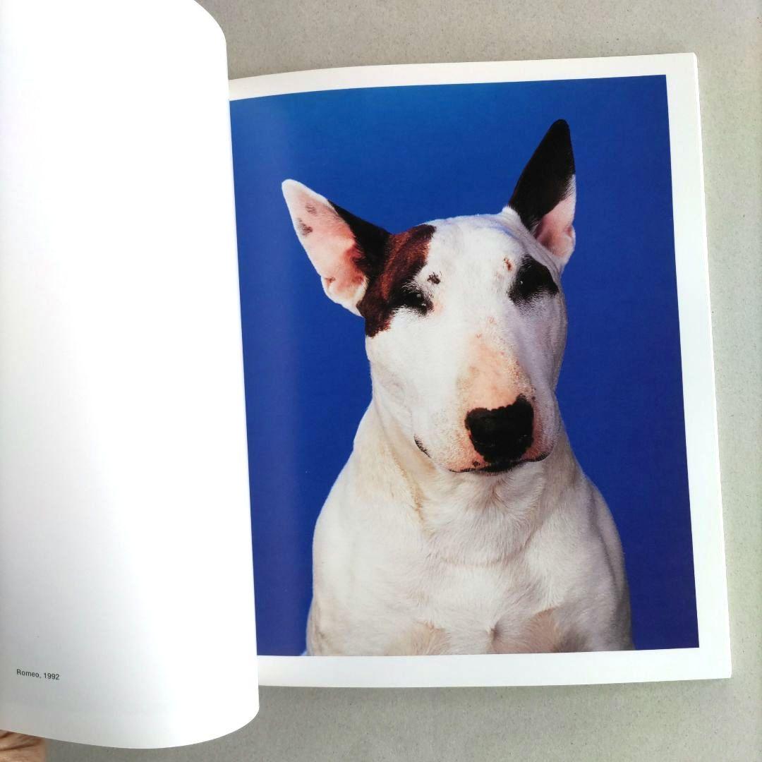 Everyday Things:Neil Winokur/写真集 作品集 洋書