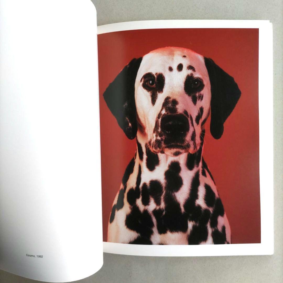 Everyday Things:Neil Winokur/写真集 作品集 洋書