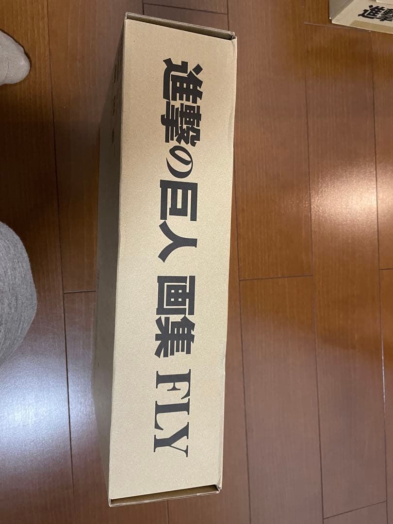 【新品】進撃の巨人 画集 FLY(全特典付き)u