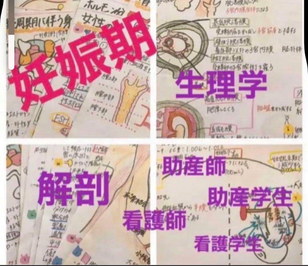 助産師　助産学生　国家試験　合格　実習味方セット　まとめノート　ポケットサイズ