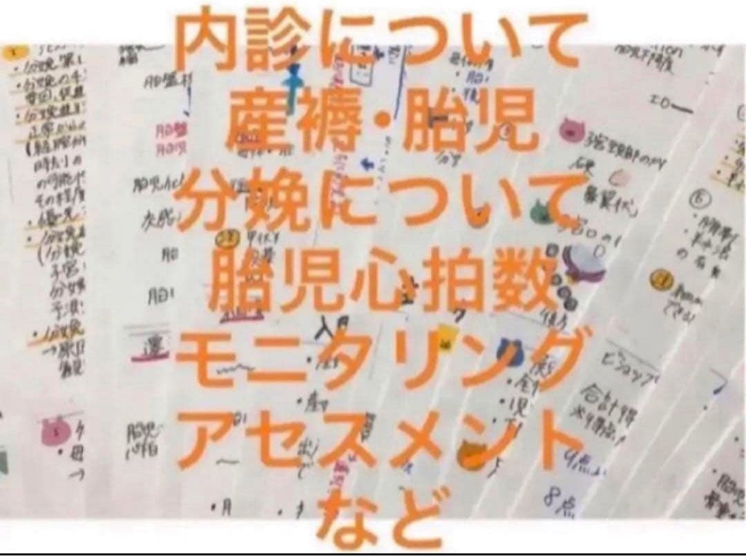 助産師　助産学生　国家試験　合格　実習味方セット　まとめノート　ポケットサイズ