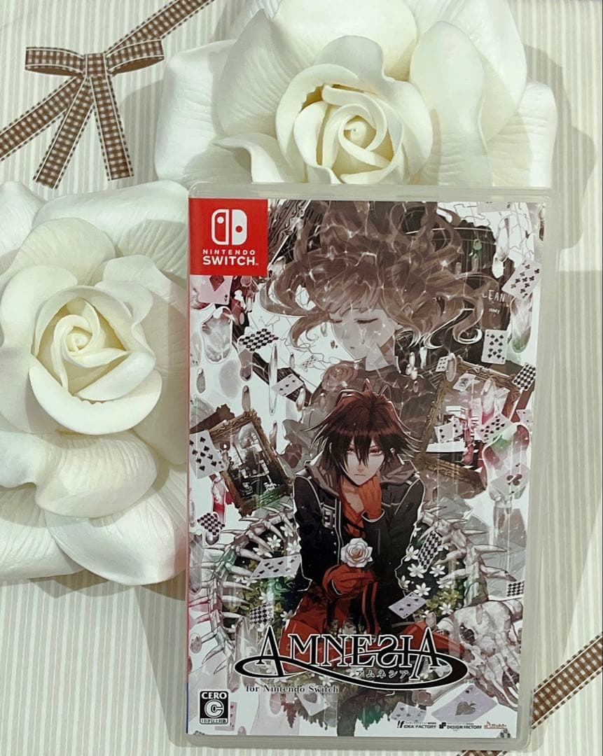 【新品未使用】 AMNESIA アムネシア 通常版 2本セット