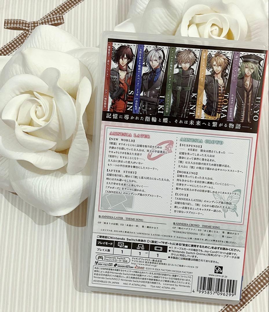 【新品未使用】 AMNESIA アムネシア 通常版 2本セット