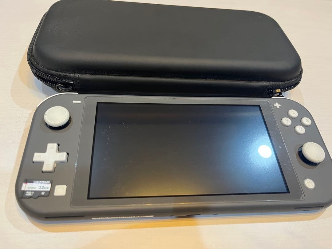 Nintendo Switch Lite グレー 本体 ケース　動作確認済