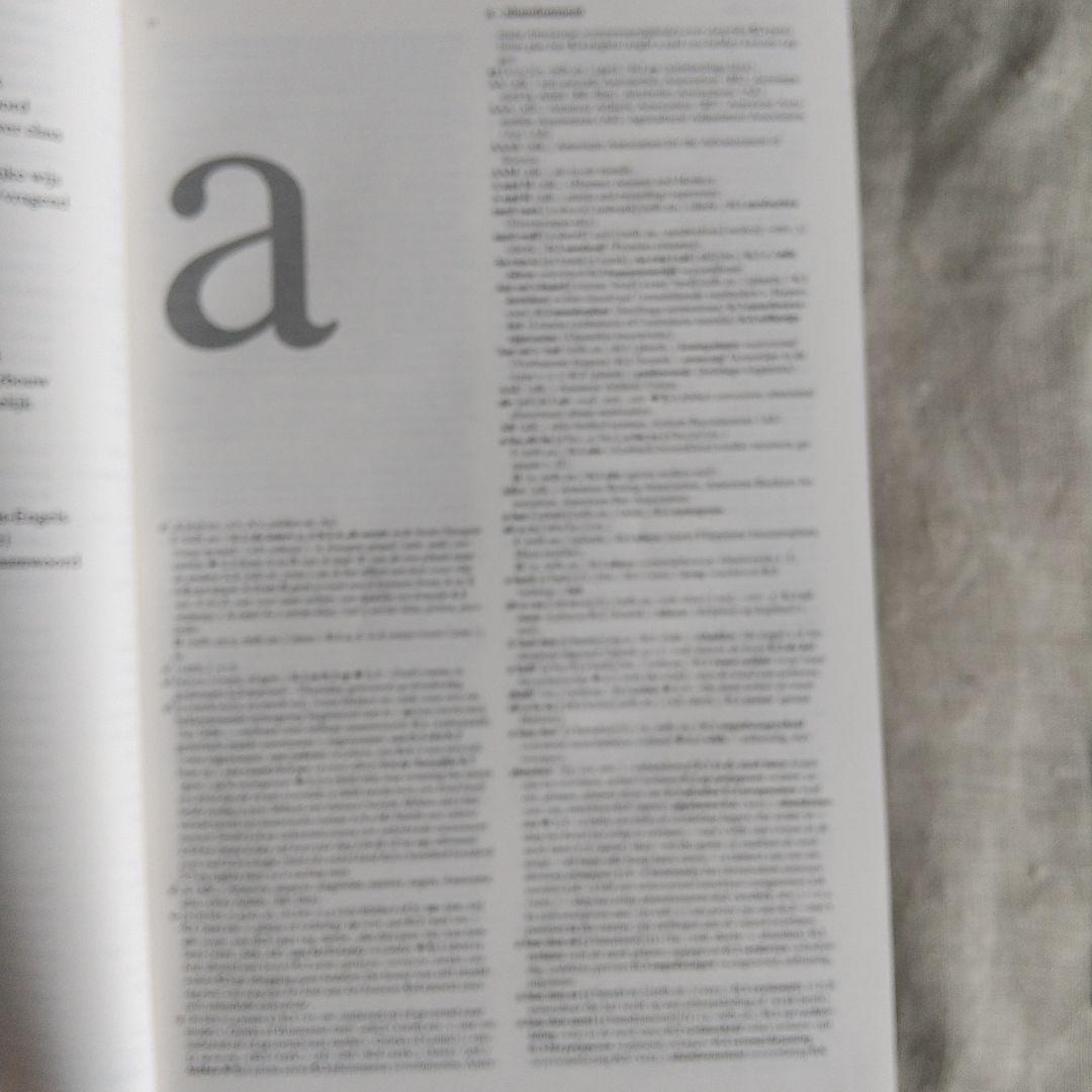 英蘭辞典（van Dale Groot woordenboek E-N第2版）
