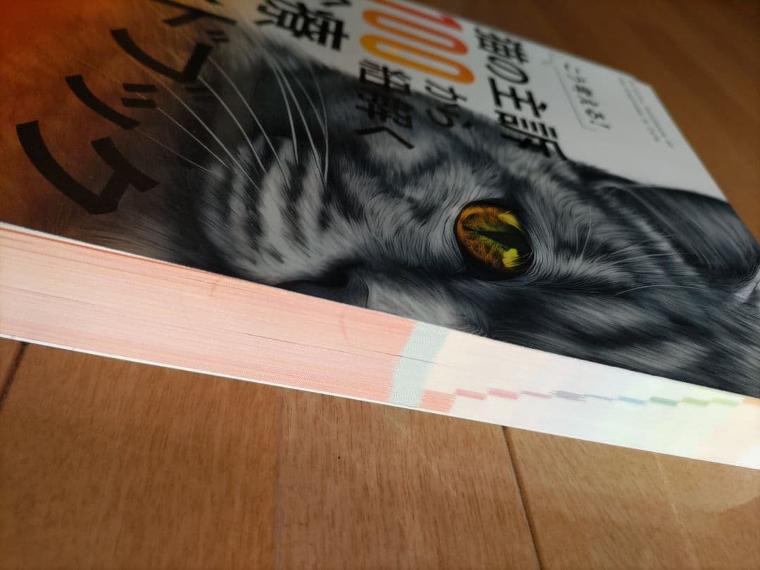 裁断済み　猫の主訴100から紐解く臨床ハンドブック