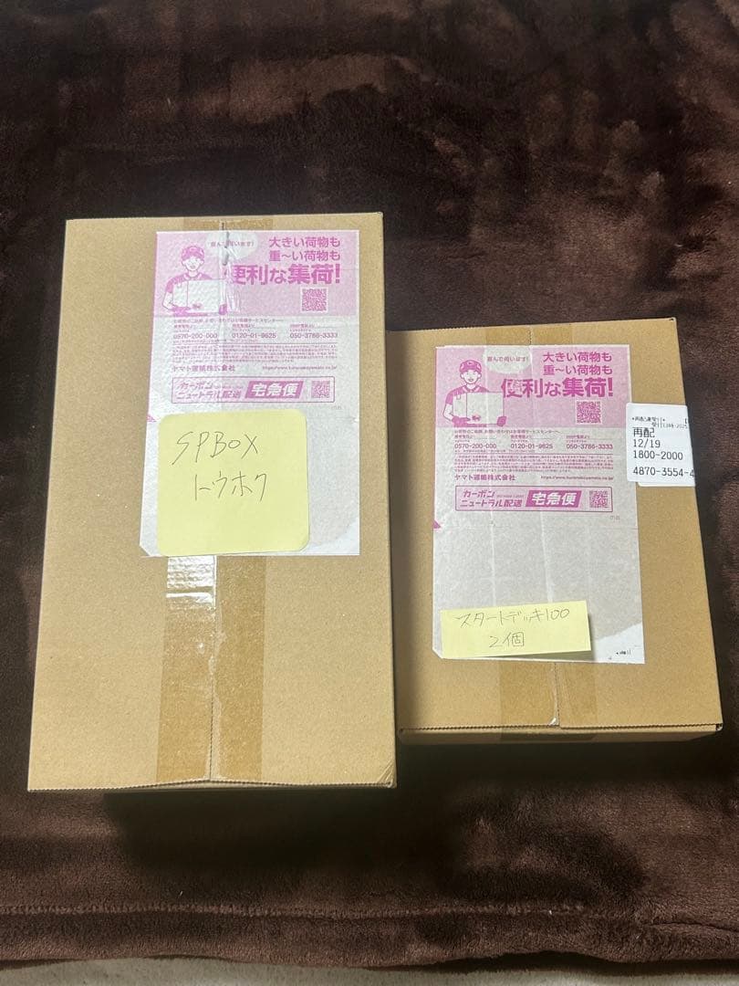 2/28 22時まで限定価格　ポケカ2025まとめ　5年価格放置　予想価格　特