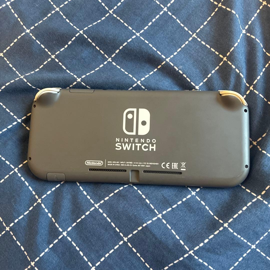 Nintendo Switch Lite 本体 + 512GB SDカード