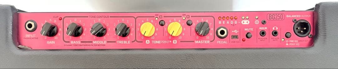 【美品】TC ELECTORONIC BG250-210 ベース用コンボアンプ