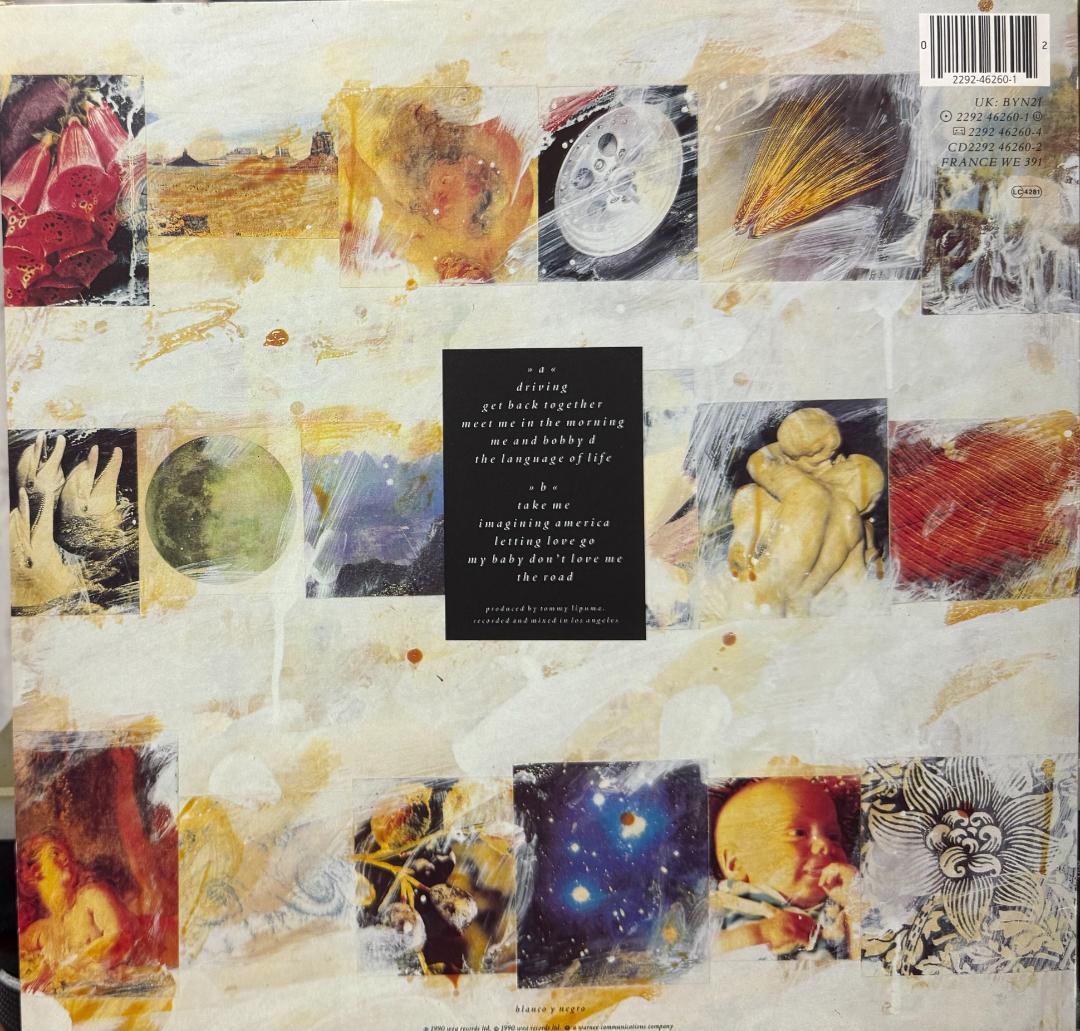 【廃盤LP】Everything But The Girl / The Lang