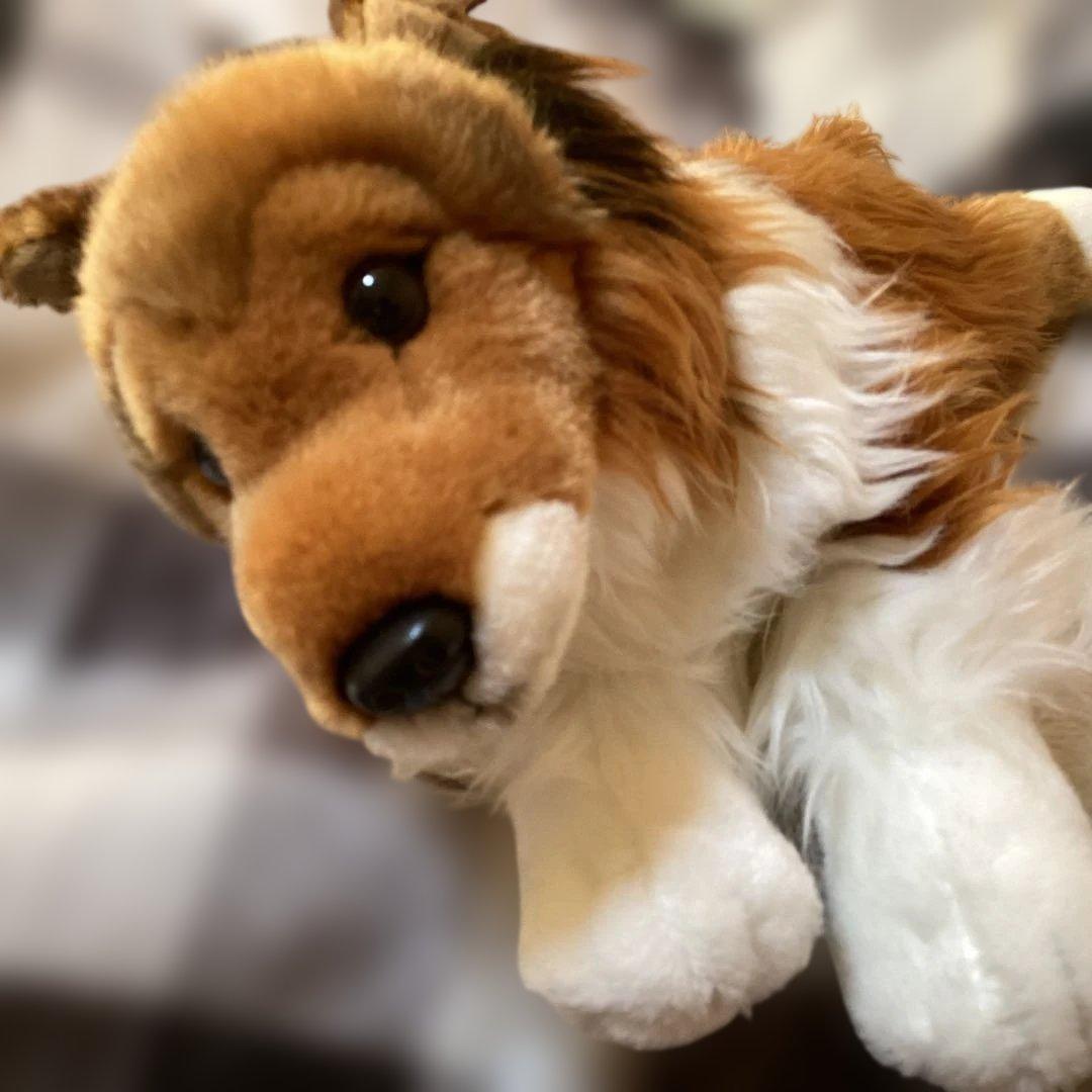 REGALO　犬　ぬいぐるみ　シェルティ