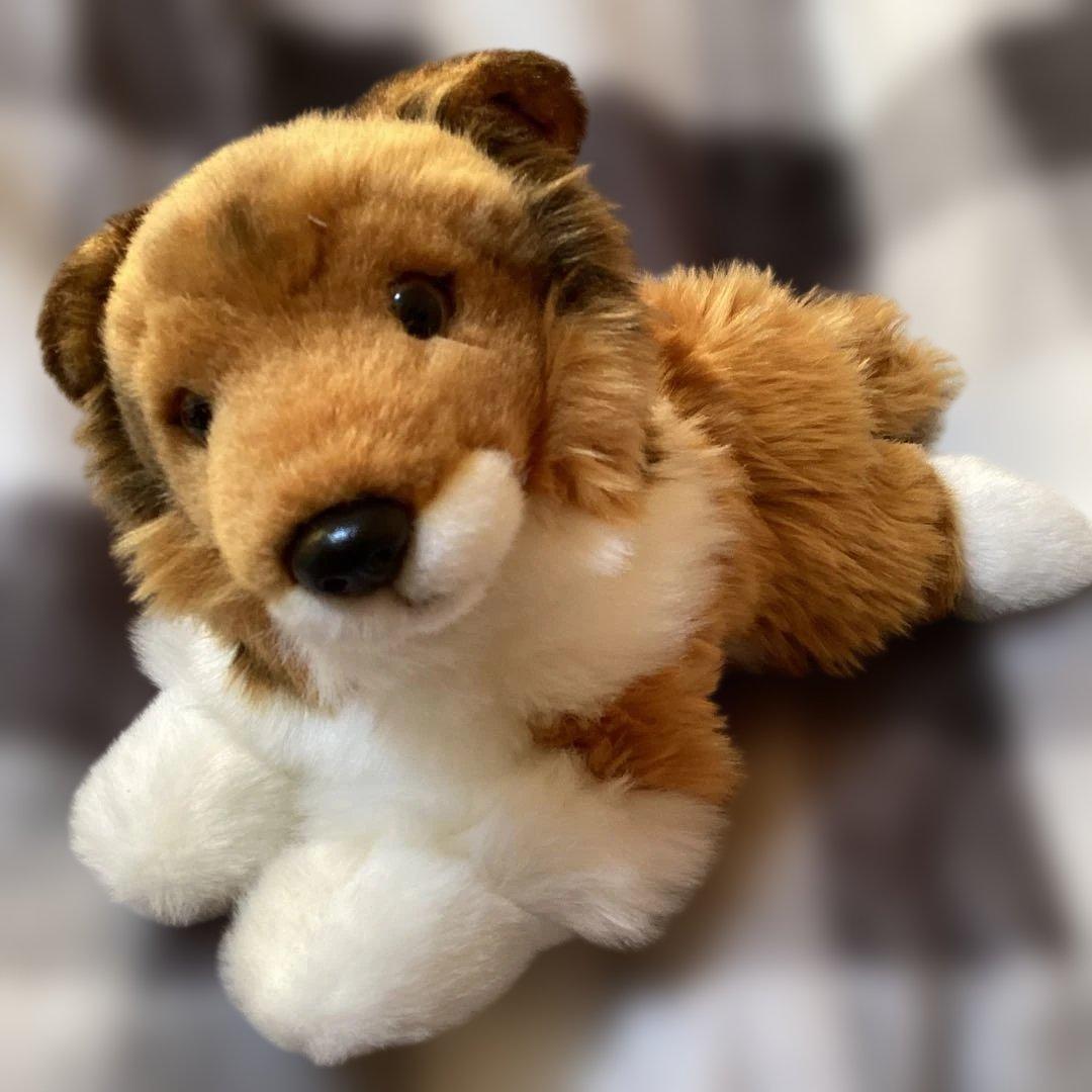 REGALO　犬　ぬいぐるみ　シェルティ