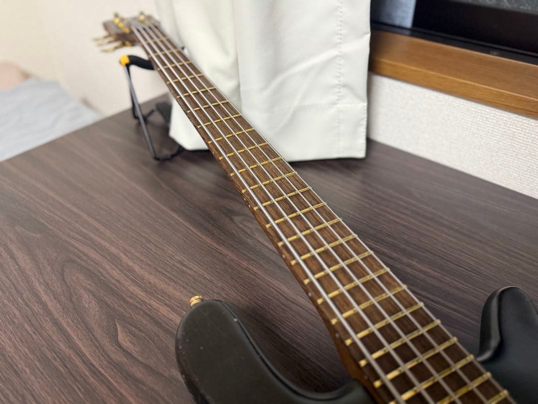 【ドイツ製】Warwick streamer jazzman 5【5弦ベース】