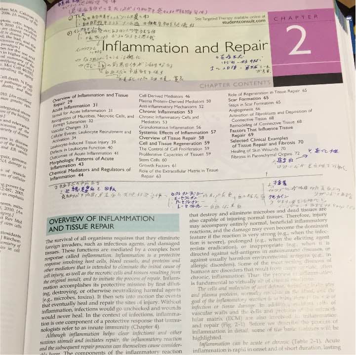 ロビンス 病理学 英語版 日本語書き込みあり