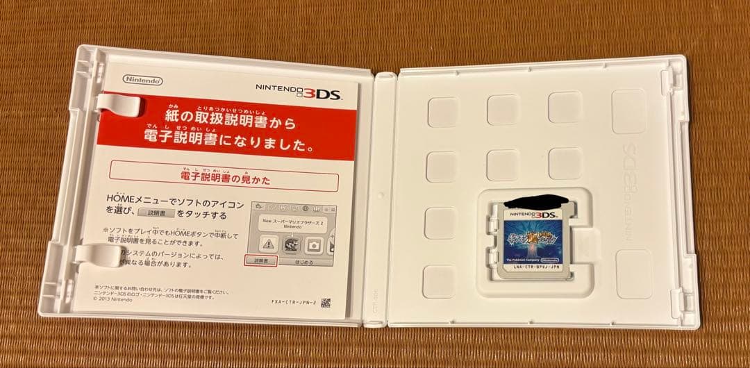 ポケットモンスターX＆オメガルビー・アルファサ ファイア&超不思議のダンジョン