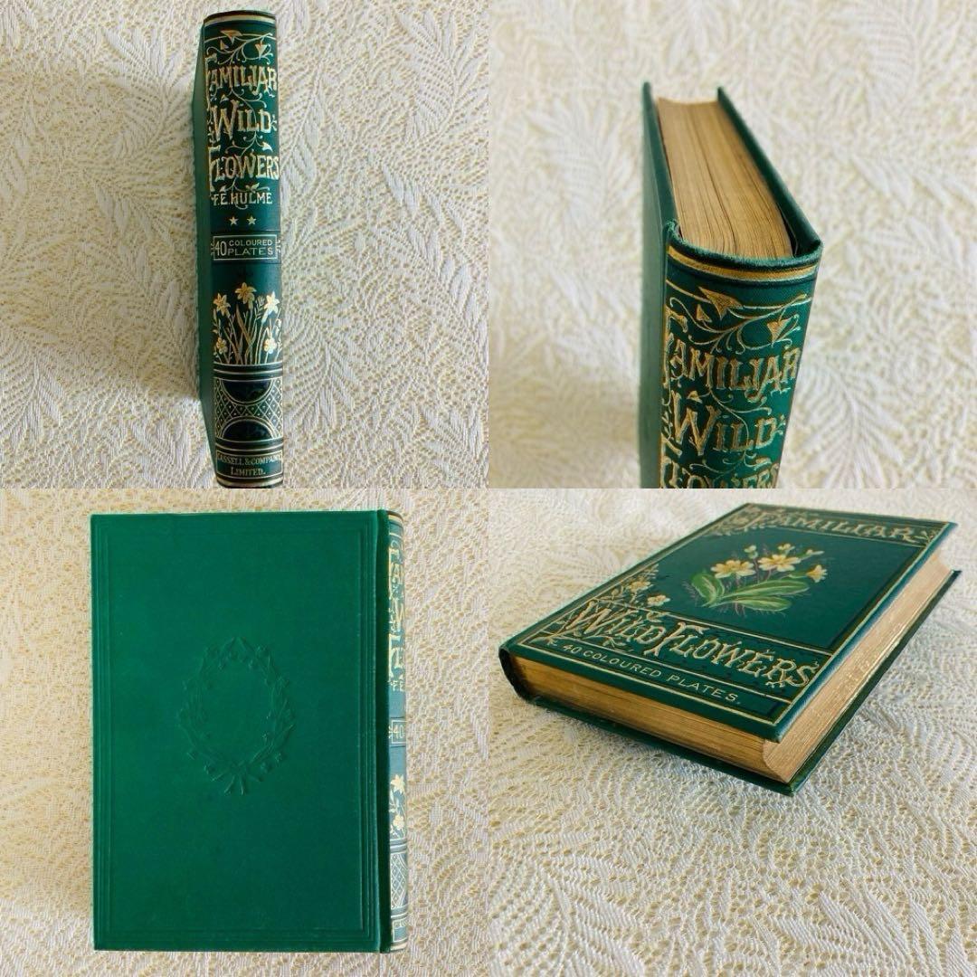 Familiar Wild Flowers　希少なアンティーク植物図鑑　洋書古書