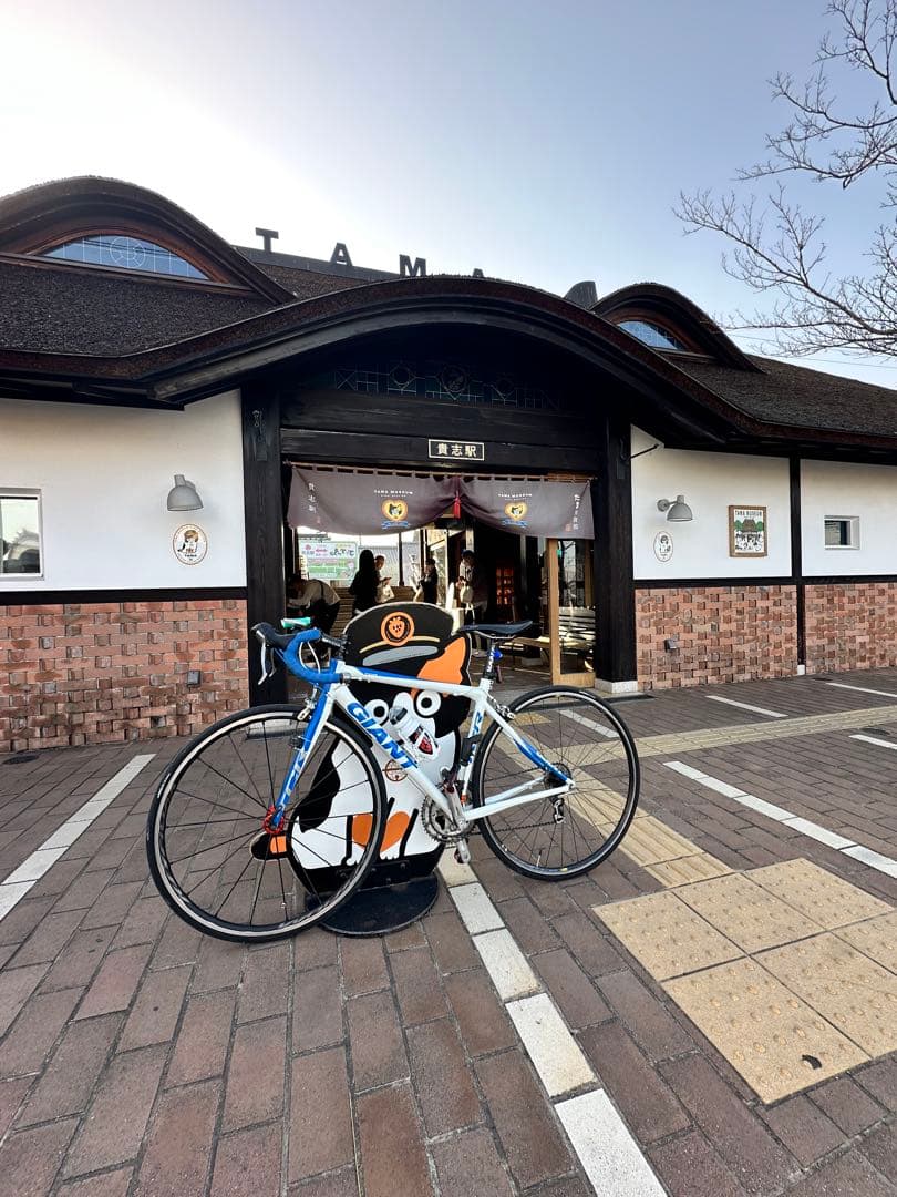 最終値下け Giant TCR 2009 Mサイズ