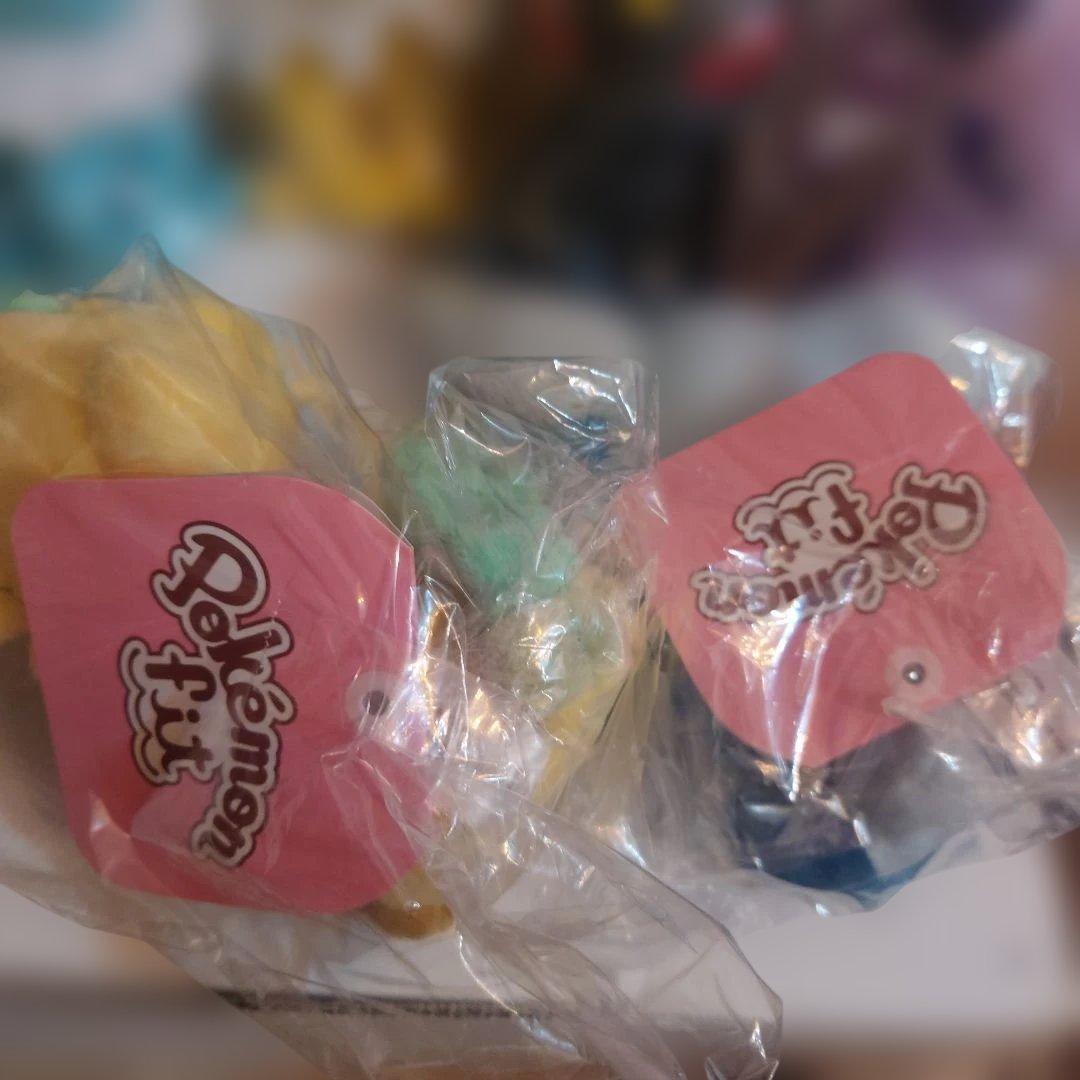 ポケモンセンター　ポケモンフィット　ブイズ　ぬいぐるみ