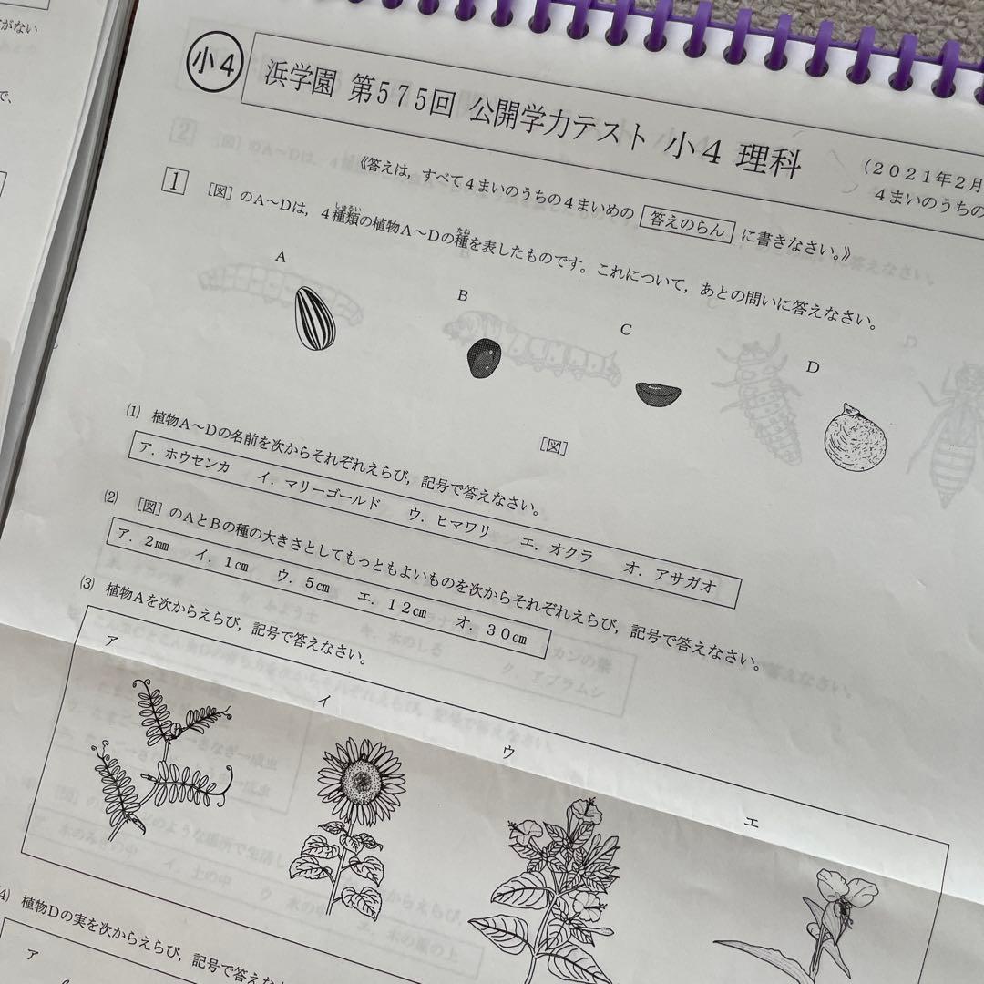 浜学園　公開テスト