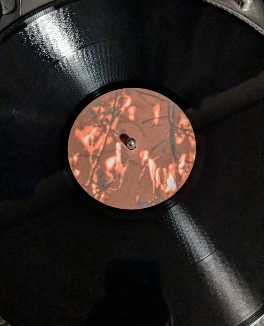 GAS KÖNIGSFÖRST オリジナル盤　2LP