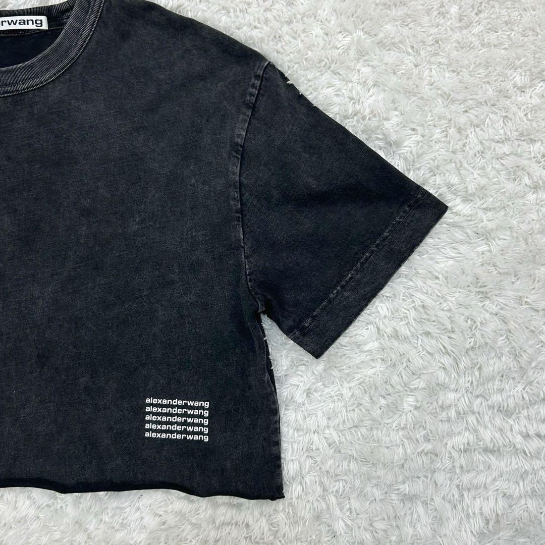 【ヴィンテージ加工】アレキサンダーワン☆Tシャツ クロップド丈 ショート丈
