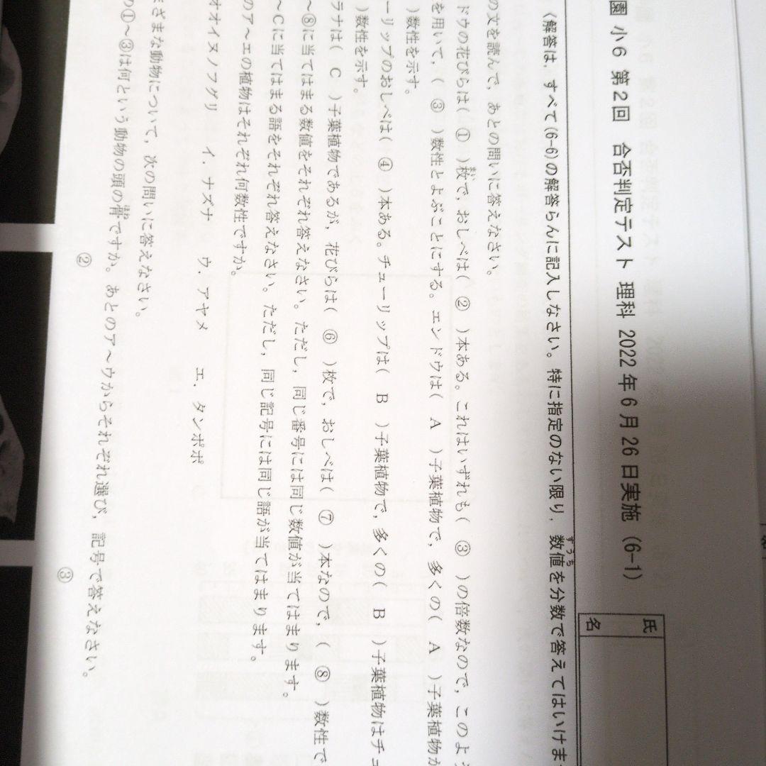 希学園　小6 合否判定テスト　2022年　1年４回分 算数、国語、理科　3科目