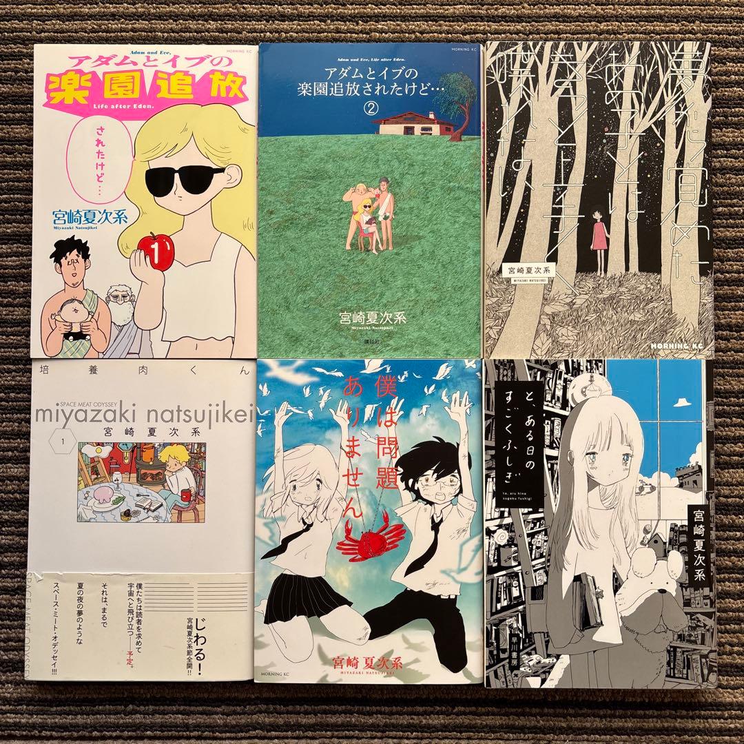 10冊セット♪僕は問題ありません／あなたはブンちゃんの恋 - 宮崎 夏次系