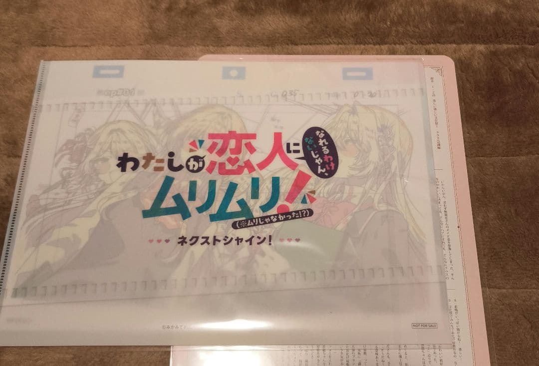 わたしが恋人になれるわけないじゃん、ムリムリ!8 　非売品特典他セット