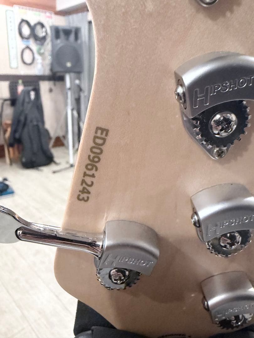 edwards エレキベース 5弦ベース